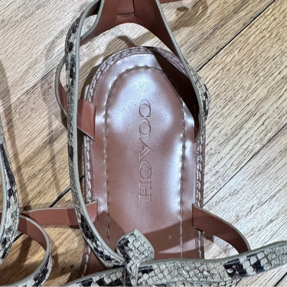 COACH Snake Print Sandals in size 7.5